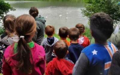 Périscolaire de Muespach le Haut « Cap sur l’Ill »