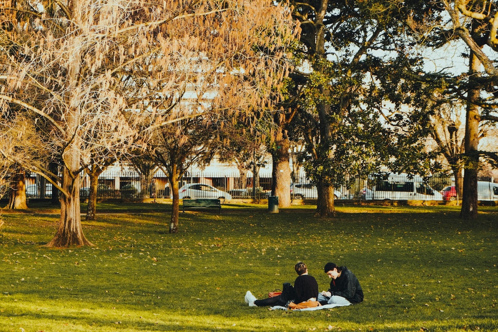Couple de jeunes gens dans un parc Parc