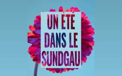 Un été dans le Sundgau 2025